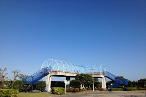森ヶ崎公園・高台