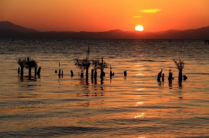 琵琶湖　朝陽①