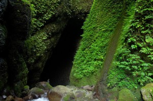 シワガラの滝　洞窟