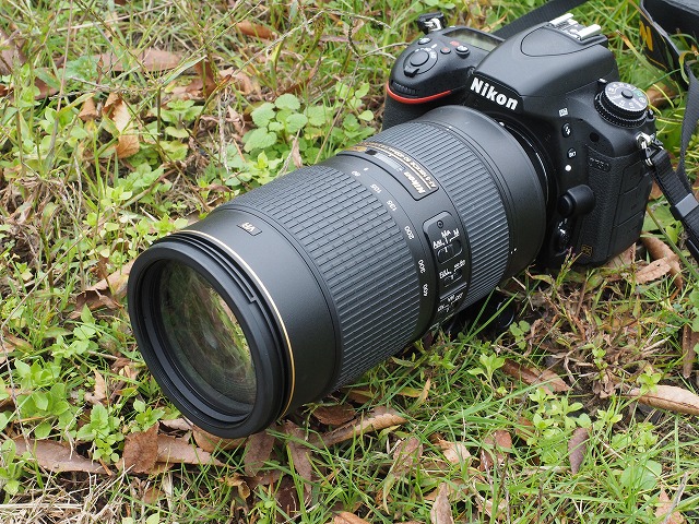 Nikon AF-S 80-400mm F4.5-5.6G VR
