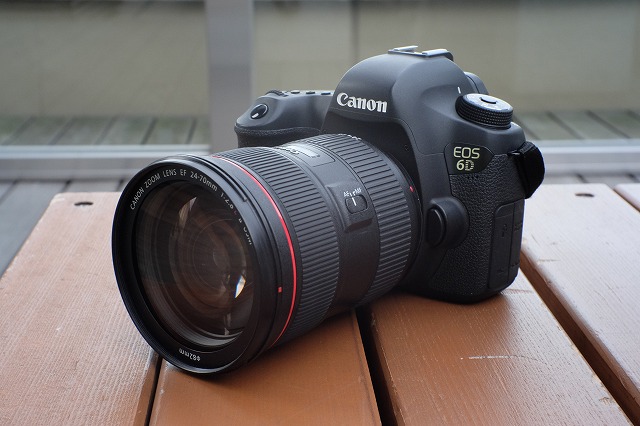 Canon EF 24-70mm F2.8L II USM