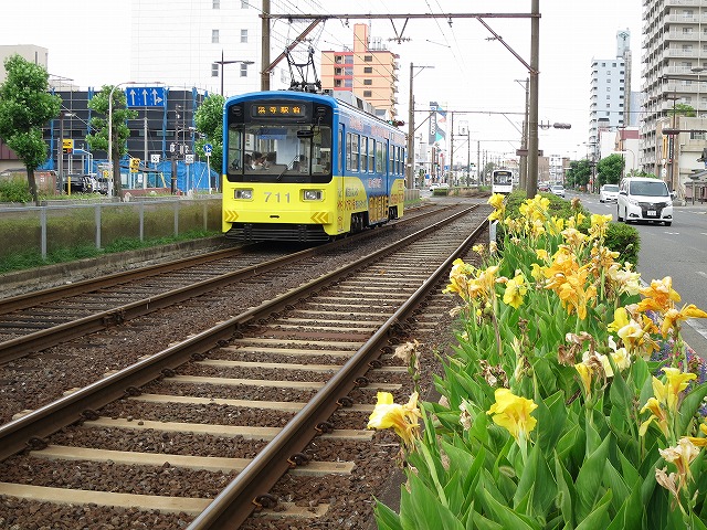 阪堺電車､乗り放題､一日乗車券､テクテクキップ