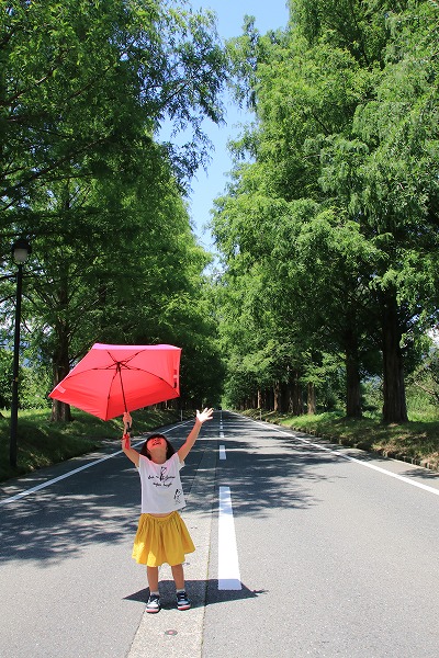 【作例付き撮影地情報】 琵琶湖の西北「滋賀県・高島」の夏
