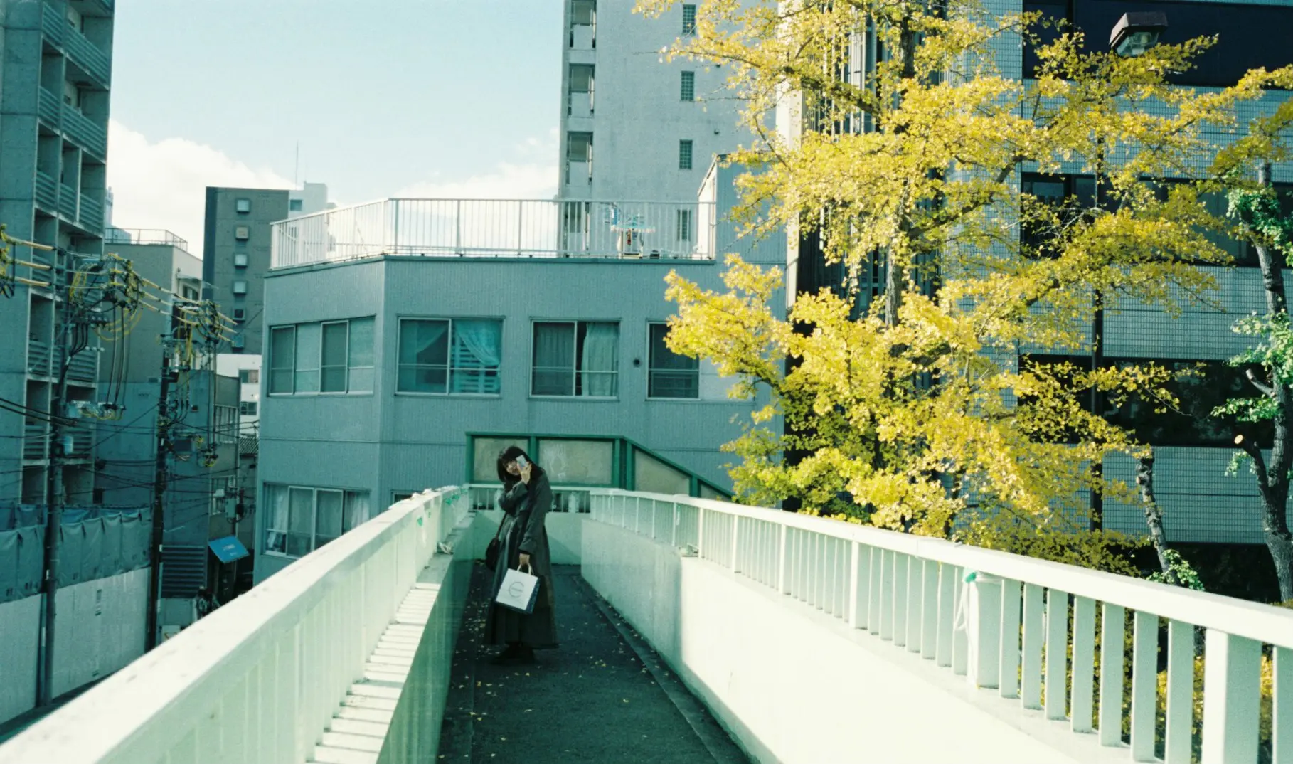 歩道橋と銀杏