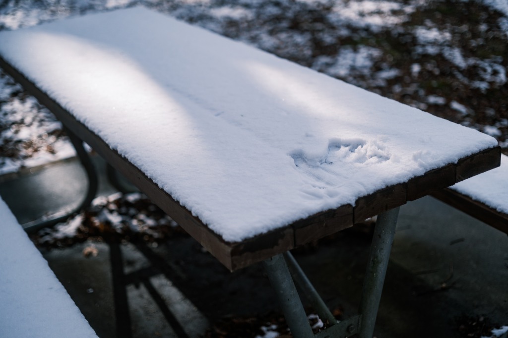 手跡が残る雪のテーブル