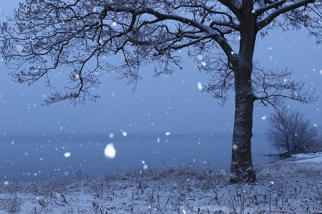 【初心者向け】雪景色をキレイに撮影する5つのポイント！