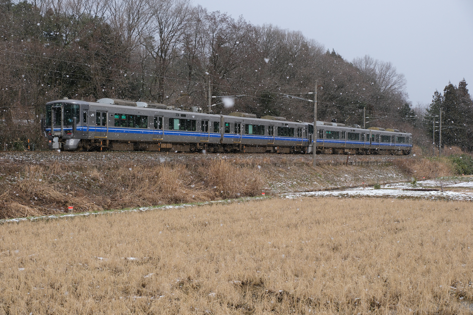 Y-3 路面電車の写真＆コニカ大きなフォトフレーム-