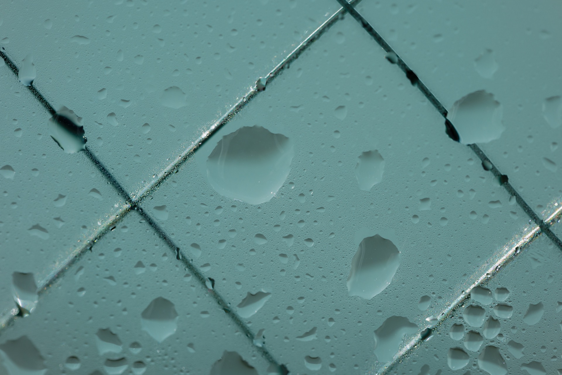 LUMIX S 100mm F2.8 MACRO　窓の水滴