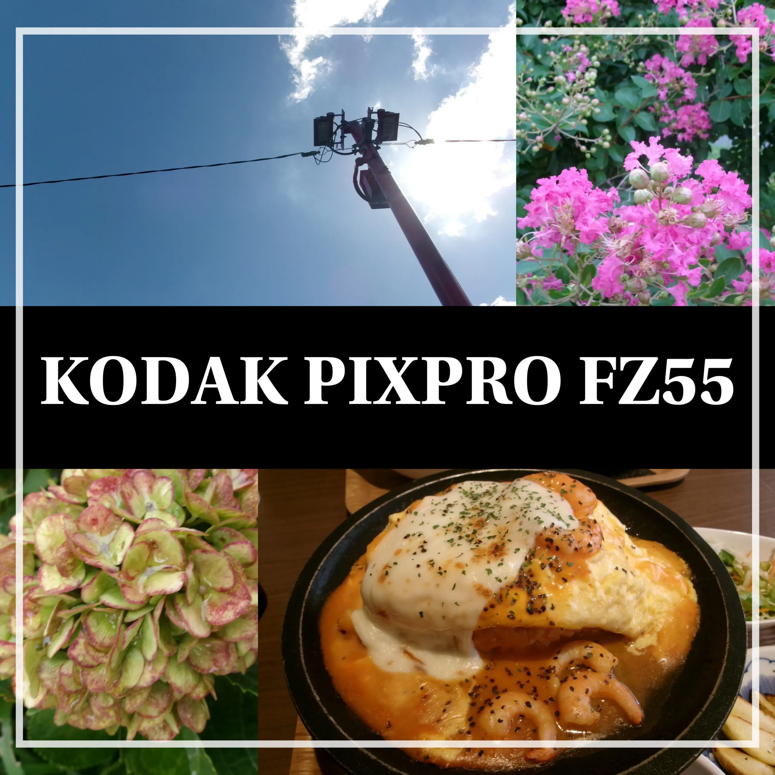 平成レトロ？】Kodak PIXPRO FZ55【コンデジ】｜カメラ買取・販売専門店のナニワグループ