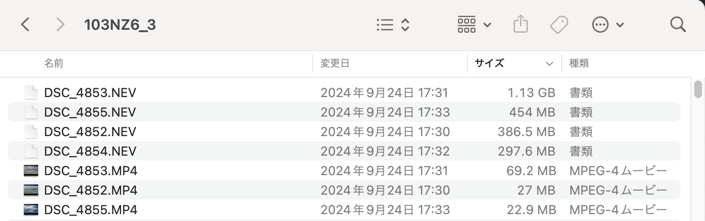 Nikon N-RAW動画 ファイルサイズ例